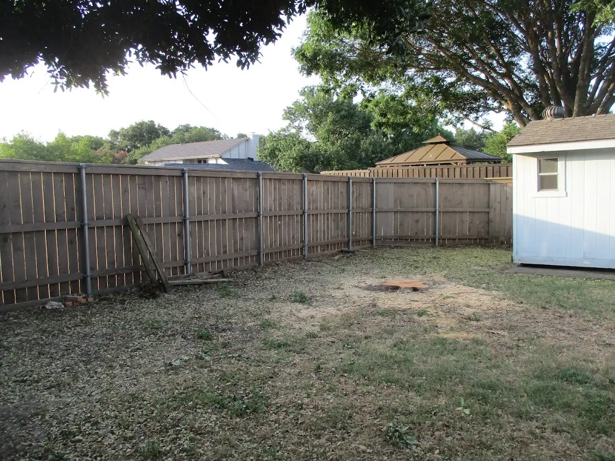 Cleared yard after professional tree removal in Pottersdale