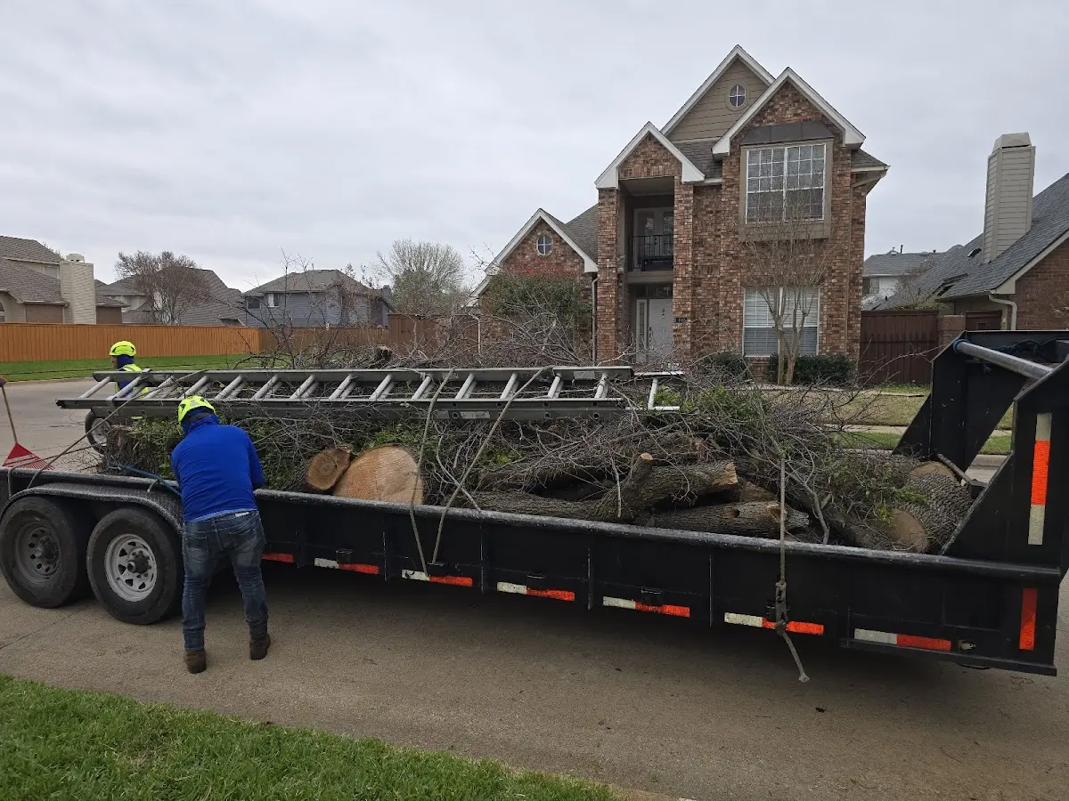 Expert Tree Fertilization with proper safety equipment in Pottersdale